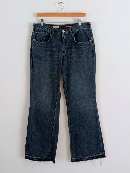 Anthropologie Pilcro Dark Wash Wide Leg Jeans - 30